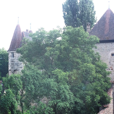 Blick über die Stadtmauer